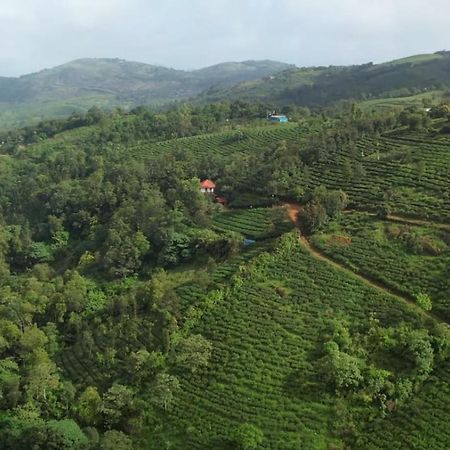 Tea Haven By Yathroam Pensionat Vagamon Eksteriør billede