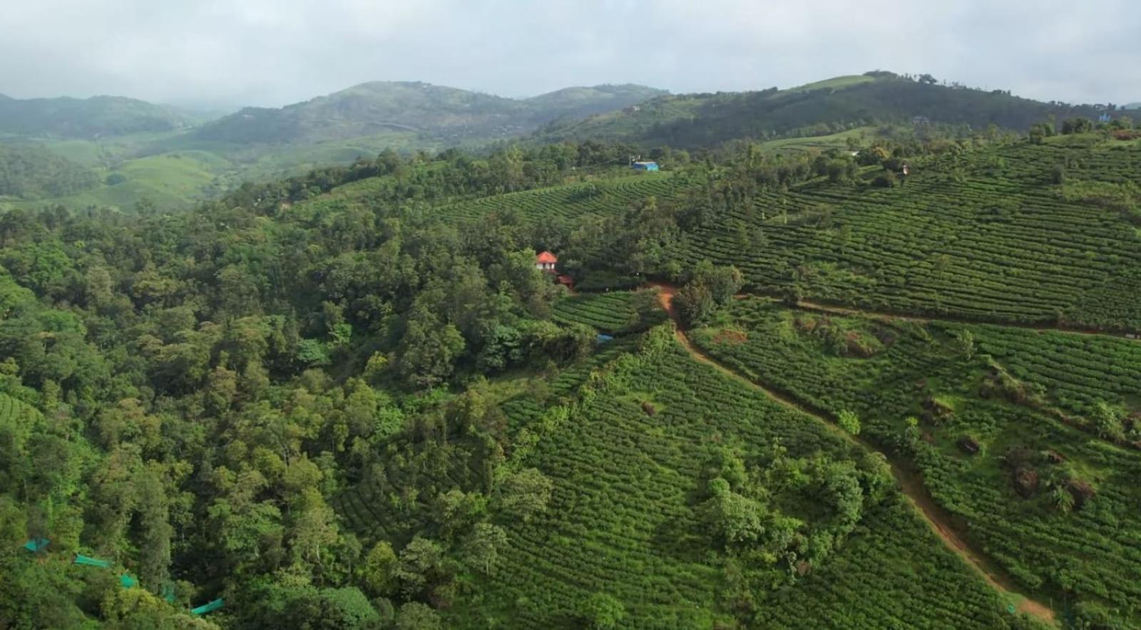 Tea Haven By Yathroam Pensionat Vagamon Eksteriør billede