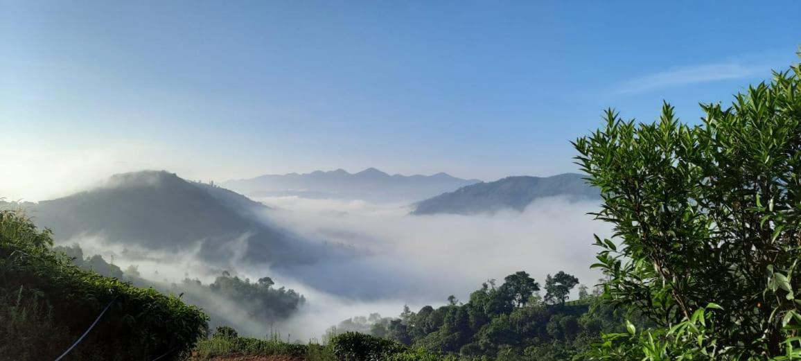 Tea Haven By Yathroam Pensionat Vagamon Eksteriør billede